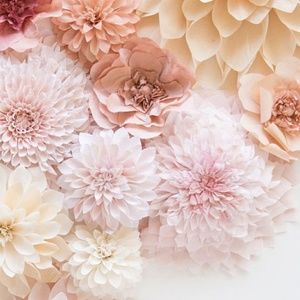 Meet your Posher, Brandy